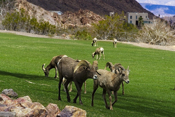 GJ6I4376